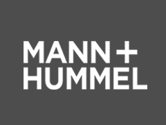 mann_plus_hummel.png