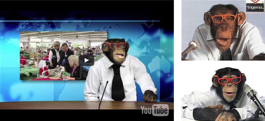 Trigema Schimpanse ARD Werbung