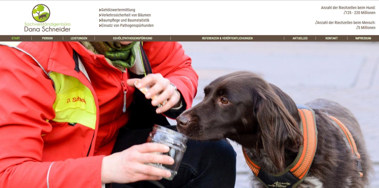 Responsive CMS Webseite für einen Pathogenspürhund