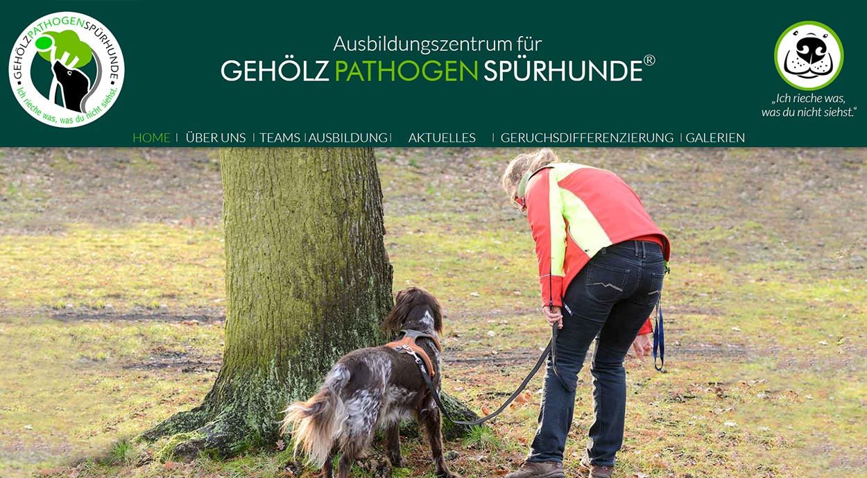 Pathogenspuerhund