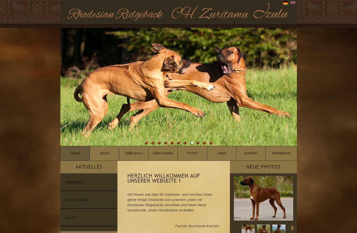CMS Webseite Rhodesian Ridgeback