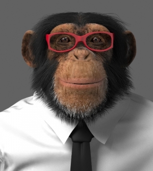 Das TRIGEMA Maskottchen, Schimpanse Charly in 3D