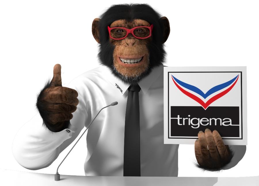 des Making Schimpansen of TRIGEMA